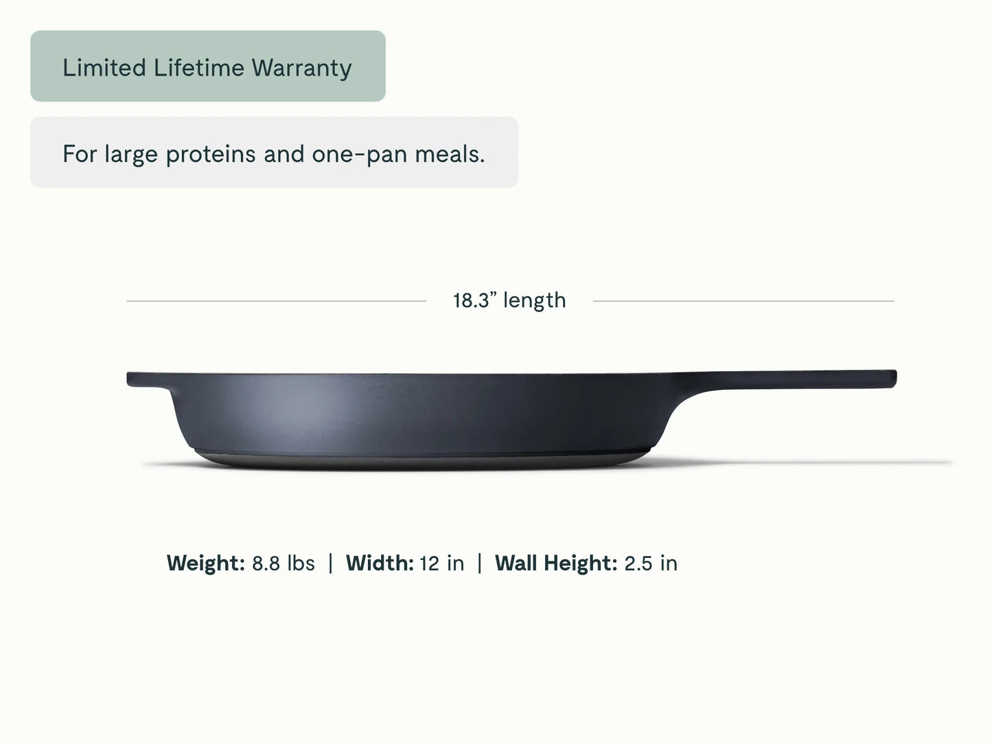 Cast Iron 12 inch Skillet
