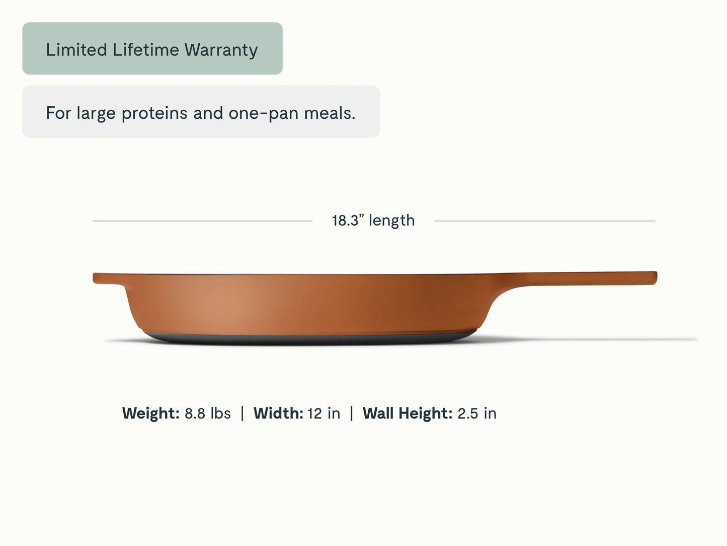 Cast Iron 12 inch Skillet