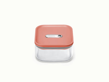 Small Glass Airtight Container Duo