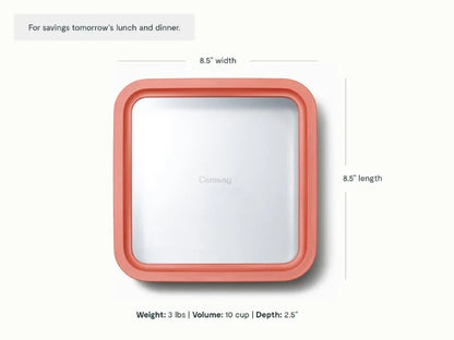 Large Storage Container