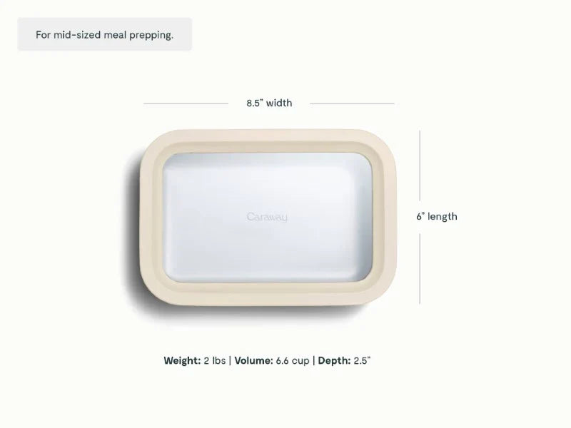 Medium Storage Container
