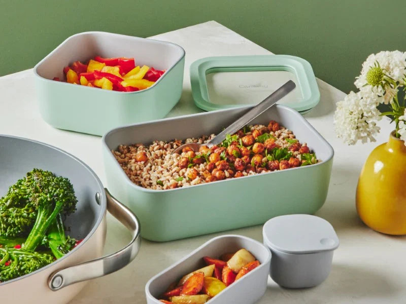 Medium Storage Container