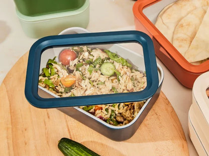 Medium Storage Container