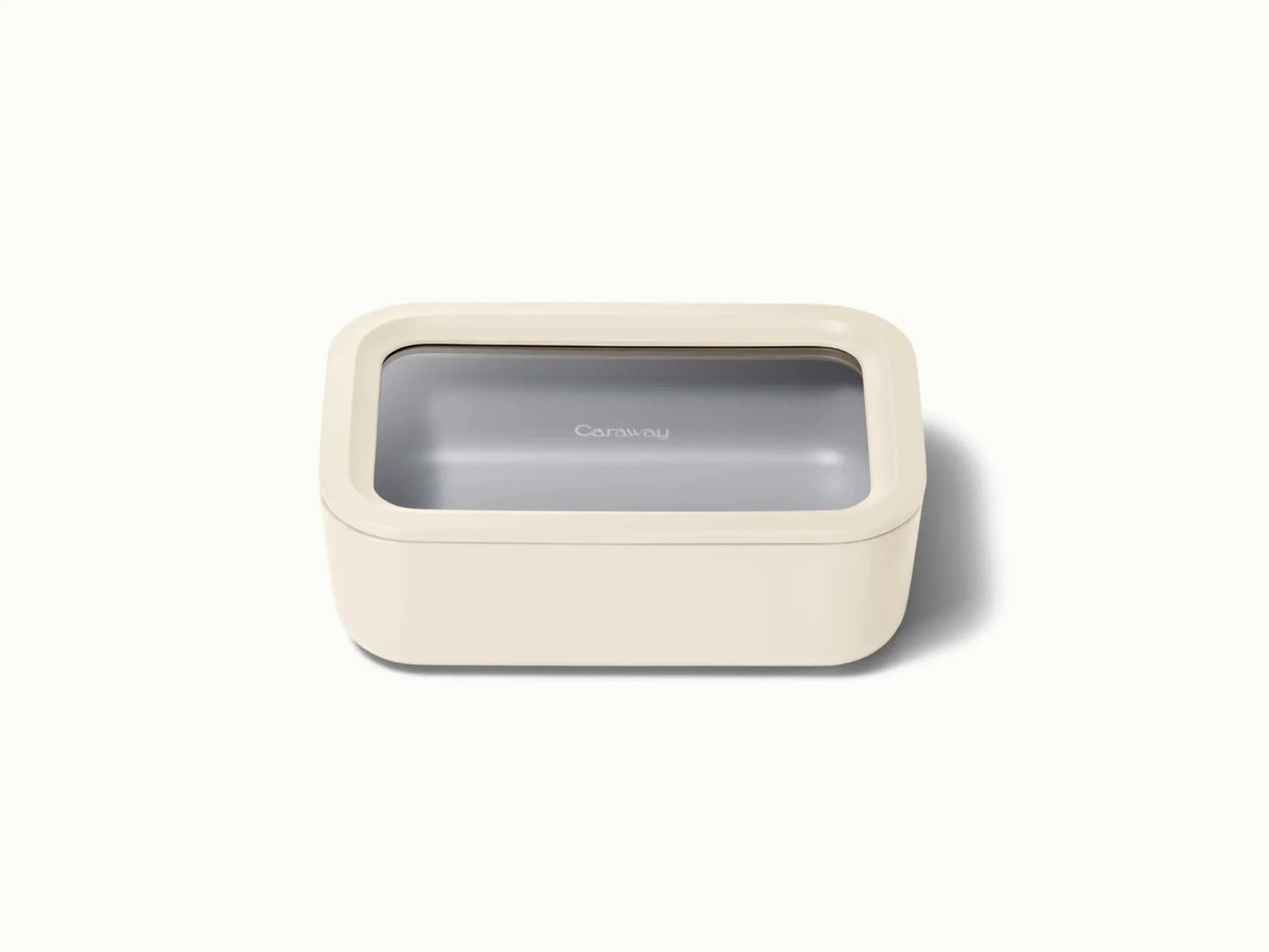 Medium Storage Container