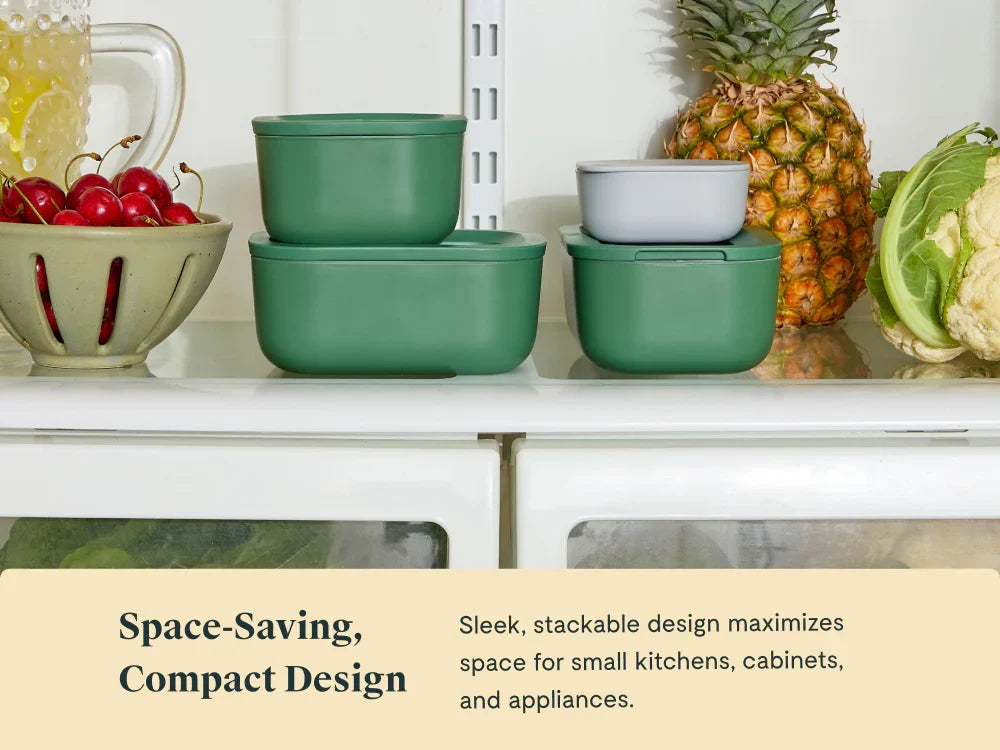 Mini Rectangle Container 6-pack