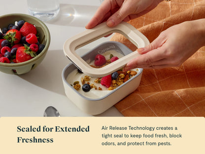 Mini Rectangle Container