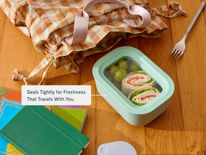 Mini Rectangle Container 4-pack